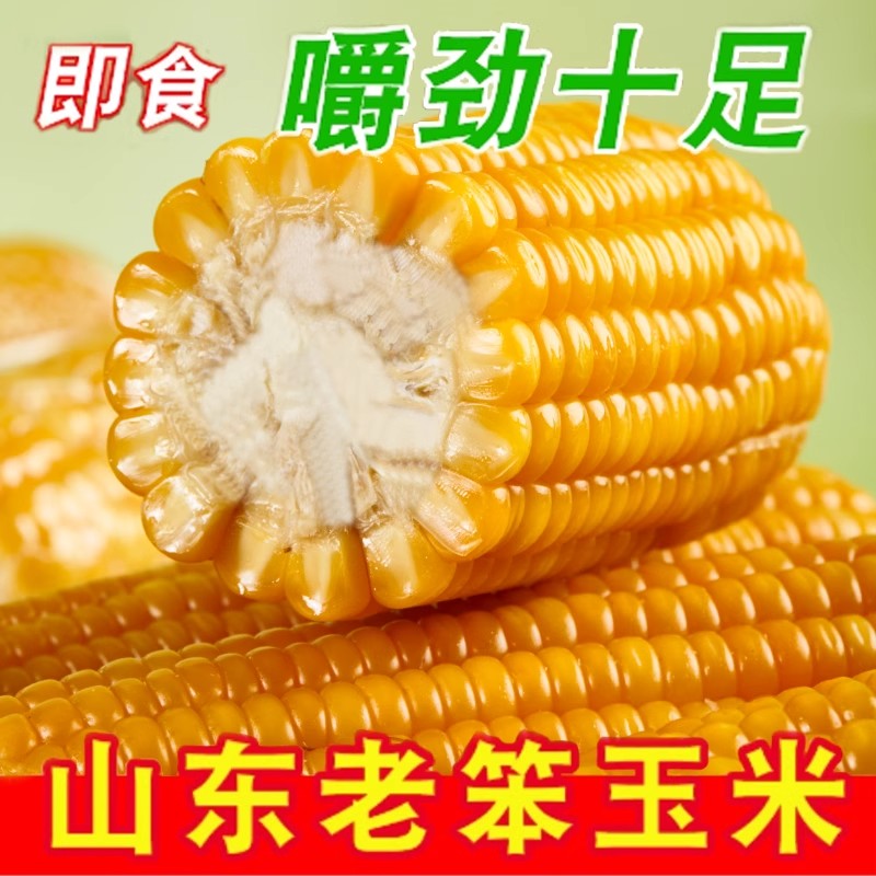真空传统老式笨玉米即食10根山东农家免蒸煮熟西沂州代餐健身