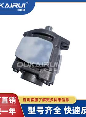 HYTEK液压齿轮泵CP0-16-P-10R/CPO-16-P-10R注塑伺服泵油泵