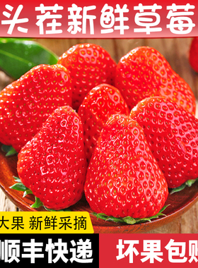 现摘新鲜奶油露天草莓大凉山红颜99孕妇当季水果礼盒非丹东顺丰