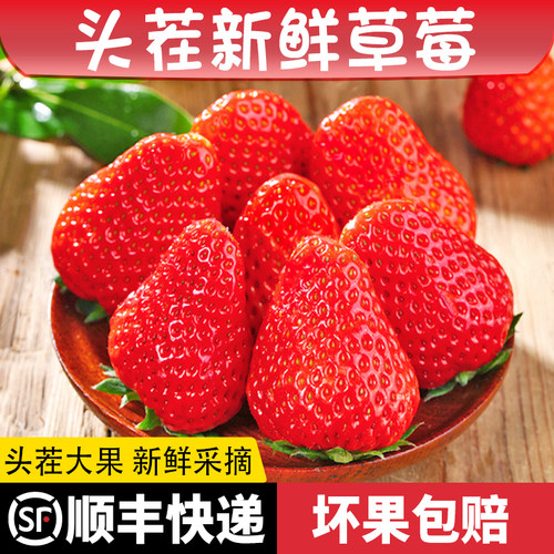 新鲜奶油草莓现摘现发顺丰包邮