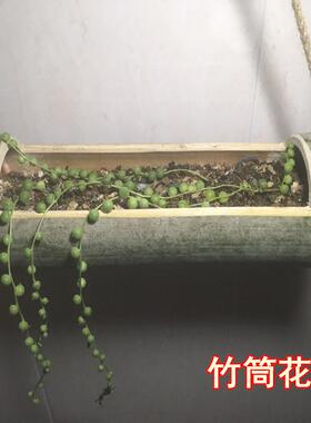 竹筒多层悬挂式花盆挂墙吊挂
