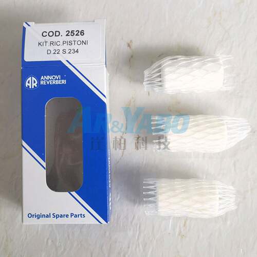 CODE 2526 RK-SS 意大利不锈钢柱塞泵 陶瓷柱塞