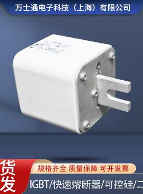熔断器170M6146 170M6147 170M6148 170M6149 170M6150 170M6151