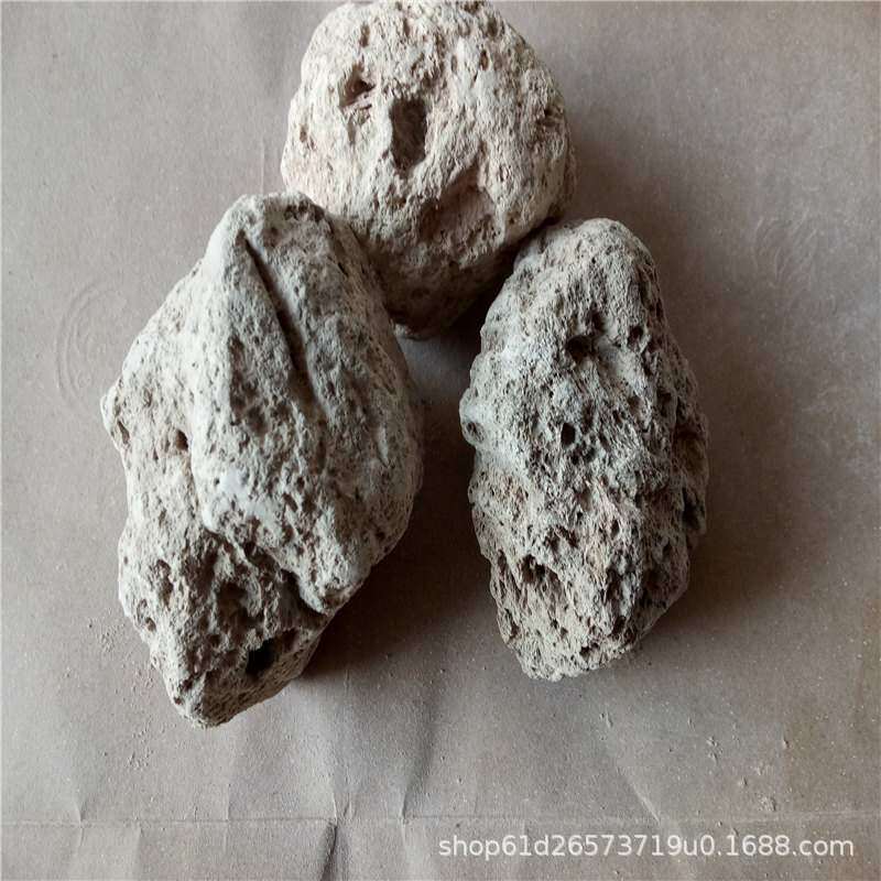 水质净化浮石火山石 污水处理白色浮石园艺装饰栽培浮石