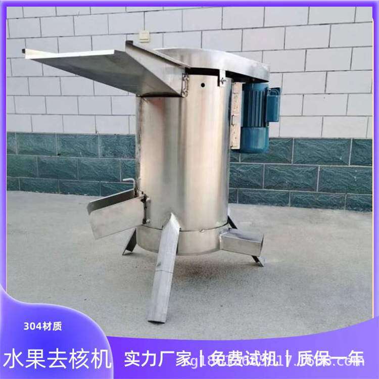 乌梅大型去核机 黄桃杨梅橄榄李子商用脱核机 多用去核打浆设备