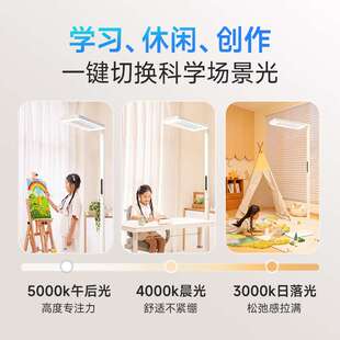 护眼大路灯学习台灯儿童书桌宿舍立式 全光谱阳光落地灯