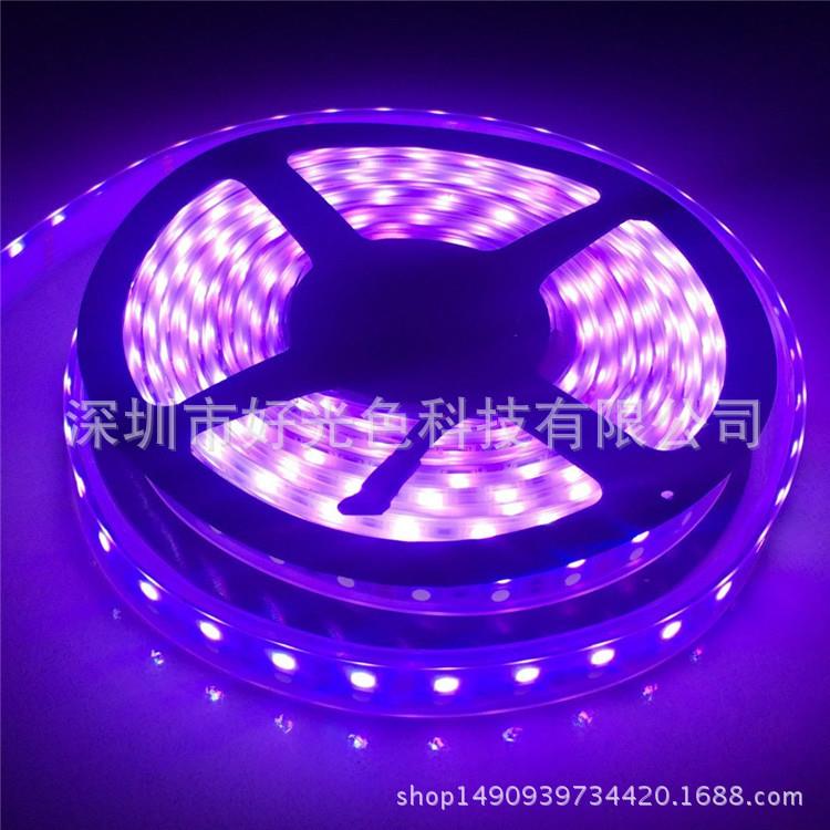 5050双排LED套管防水灯带一米120灯20mm室内装饰照明安全灯条柔光