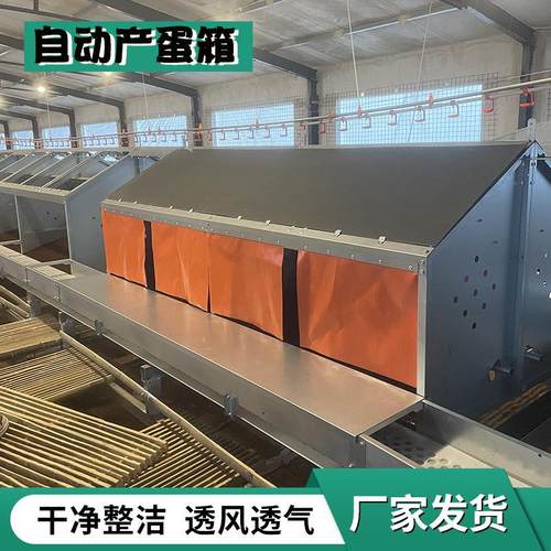 厂供自动产蛋箱 世茂养鸡设备框架式蛋箱 多规格鸡舍用框架式蛋箱