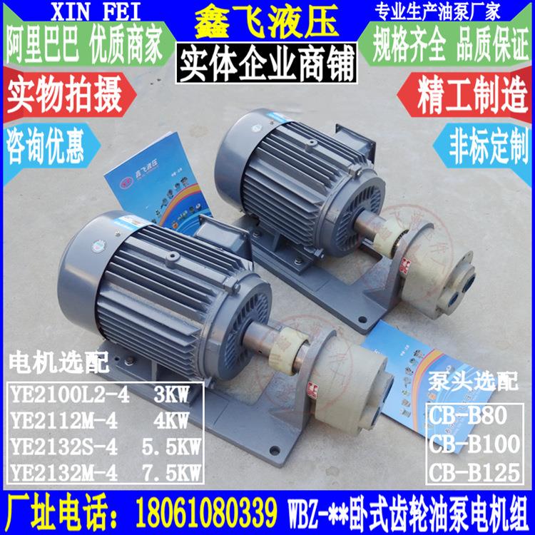 WBZ-80 WBZ-100 WBZ-125卧式齿轮油泵电机组YE2-132S-4 5.5KW