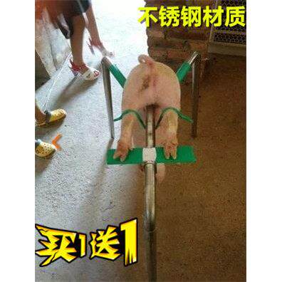 阉猪器 阉割架仔猪小猪用场养猪用设备用品工具阉割器仔猪 阉猪架