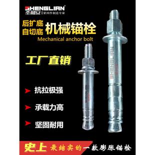 后扩底机械锚栓8.8膨胀螺丝单双管后切式 重型锚栓M10M12M16M20M24