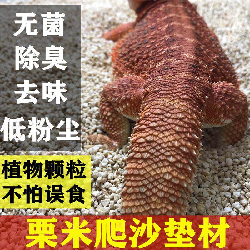 鬃狮蜥垫材栗米爬虫沙松狮蓝舌陆龟刺猬仓鼠吸湿除臭玉米芯小颗粒