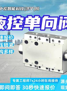 FDYA500/50液控单向阀保压锁紧功能液控单向阀规格多液控单向阀