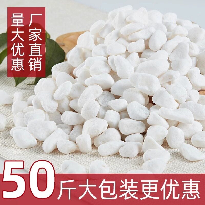 造景白石子白色鹅卵石铺地小石头园林花盆铺面石庭院白石头铺路