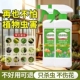 杀虫剂花卉植物通用蚧壳虫蚜虫红蜘蛛小黑飞多肉月季 土壤绿植除虫