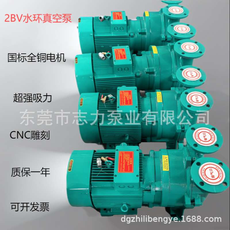 水环真空泵2BV2060/2061/2070/2071/5110/5111/5121/5131/5161