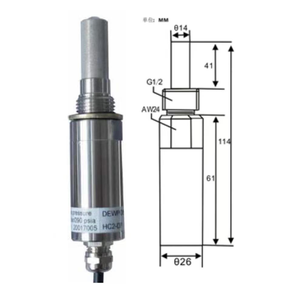 HC2A-DP耐腐蚀型在线式露点仪探头 接LY60SP显示器露点仪 湿度仪