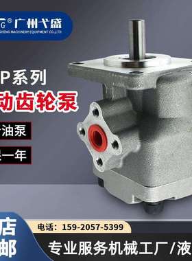 HGP-3A-F25R HGP-3A-F28R/F30R 耐磨耐压电动铸铁齿轮泵抗压