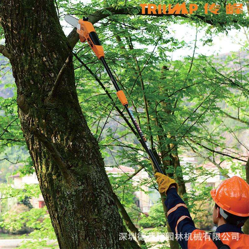 传峰36V锂电充电式高枝锯高空锯修剪树枝锯电动伸缩杆链锯树神器
