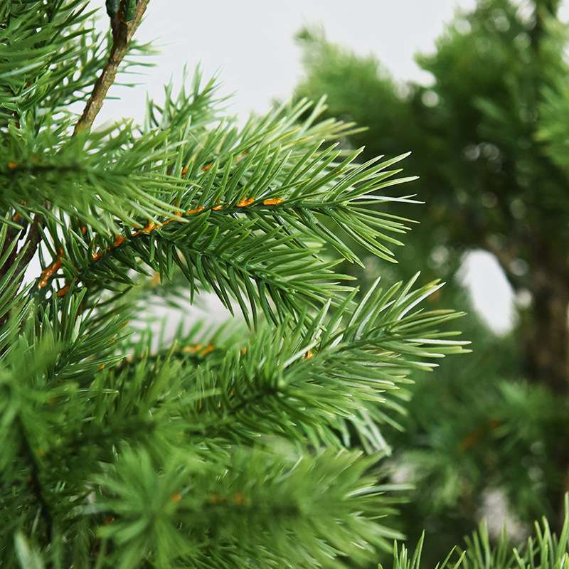仿真盆栽松树室内外装饰造景假树罗汉松迎客松植物摆件人造仿真树