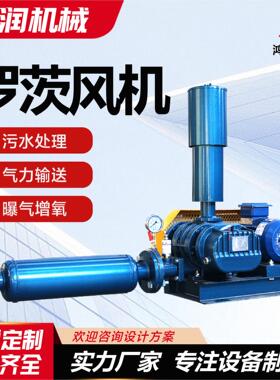 生产维修三叶罗茨鼓风机 定制小型罗茨增氧泵 SR65密集型风机厂家