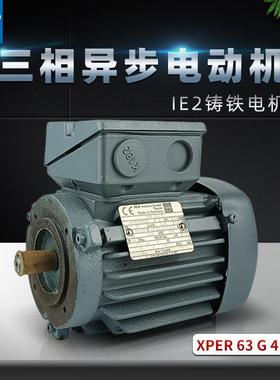 供应德国VEM电动机三相异步感应铸铁全封闭XPER63G4立式0.18KW