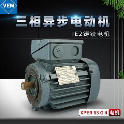 供应德国VEM电动机三相异步感应铸铁全封闭XPER63G4立式0.18KW