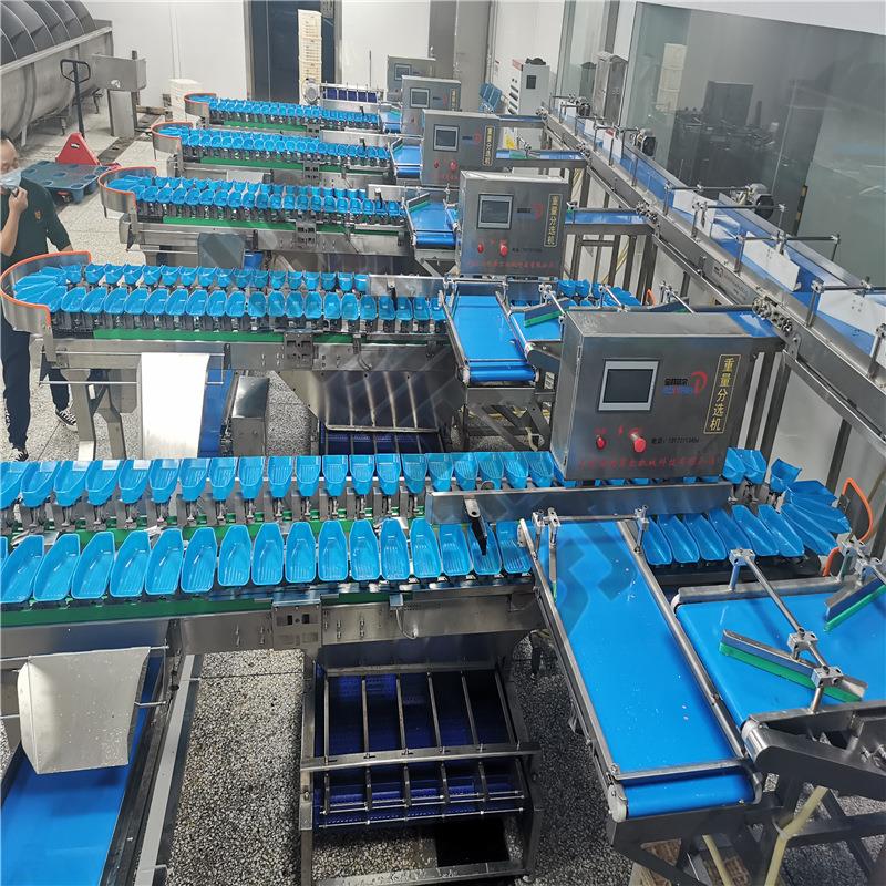 编码自动分拣机 条形码分级机分拣设备 自动识别动态称重分选机器