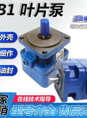 液压YB1叶片泵YB1-10 YB1-6 YB1-16 YB1-50 中高压定量油泵双联泵