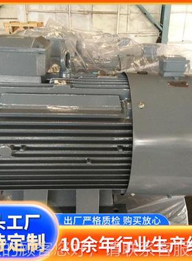 江353苏大中变电机Y2VP5/YTSP-225M4P-4-W-B3频5高效节能变频电动