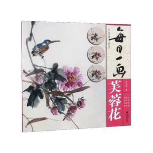 每日一画 中国画技法 芙蓉花