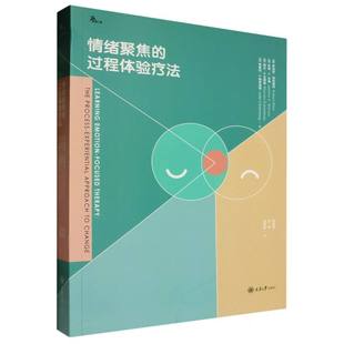 情绪聚焦 鹿鸣心理 过程体验疗法