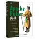 Apache Pulsar实战