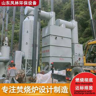 全自动宠物无烟焚烧炉环保无黑烟异味动物焚烧炉狗猫火化炉