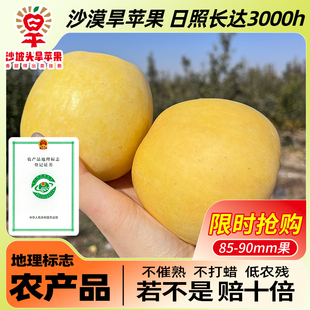 【isa专属助农】宁夏沙坡头旱苹果黄金奶油苹果【脆甜多汁】官旗