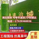 工地围挡假草皮工程人造草坪网塑料绿色植物背景墙面户外仿真绿植