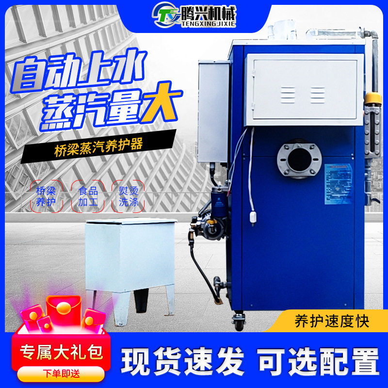 桥梁养护器电加热蒸汽发生器全自动工业燃油锅炉大型混凝土养护器