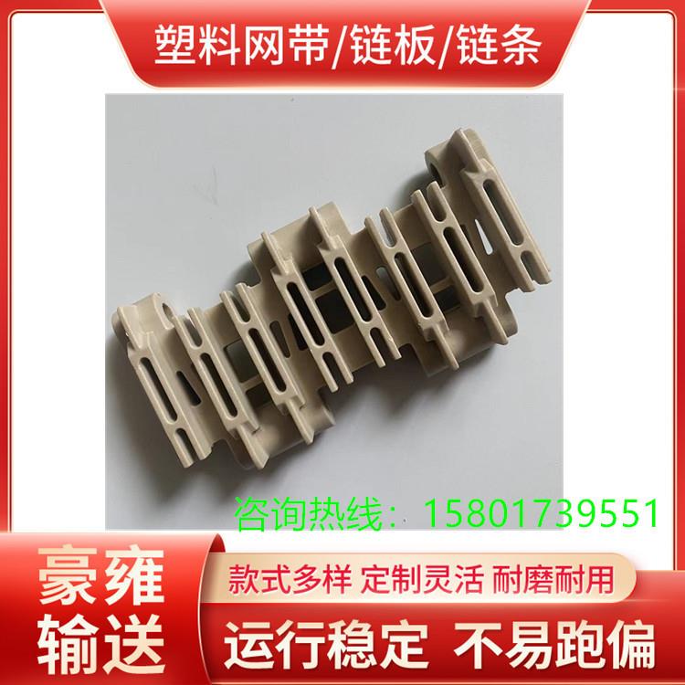 上海豪雍4705平板塑料网带4706平格圆孔塑料网带4707突肋塑料网链