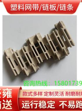 上海豪雍4705平板塑料网带4706平格圆孔塑料网带4707突肋塑料网链