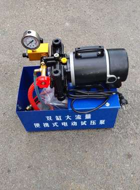 自来水管道打压机压力泵DSY50电动试压泵测压检漏工具电压泵