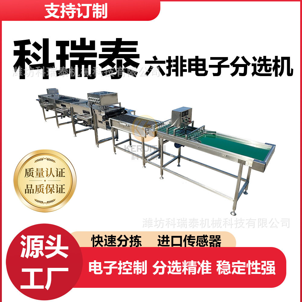 鸡蛋分级机 每小时15000枚鸡蛋 精准分选蛋品分选机