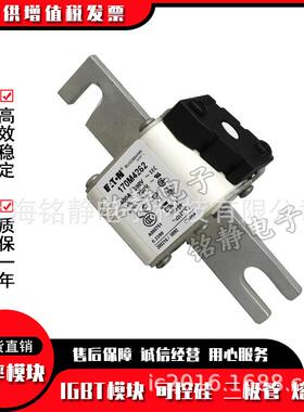 170M3986170M3987170M3988170M3989170M3990熔断器170M3991