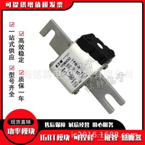 170M3986170M3987170M3988170M3989170M3990熔断器170M3991