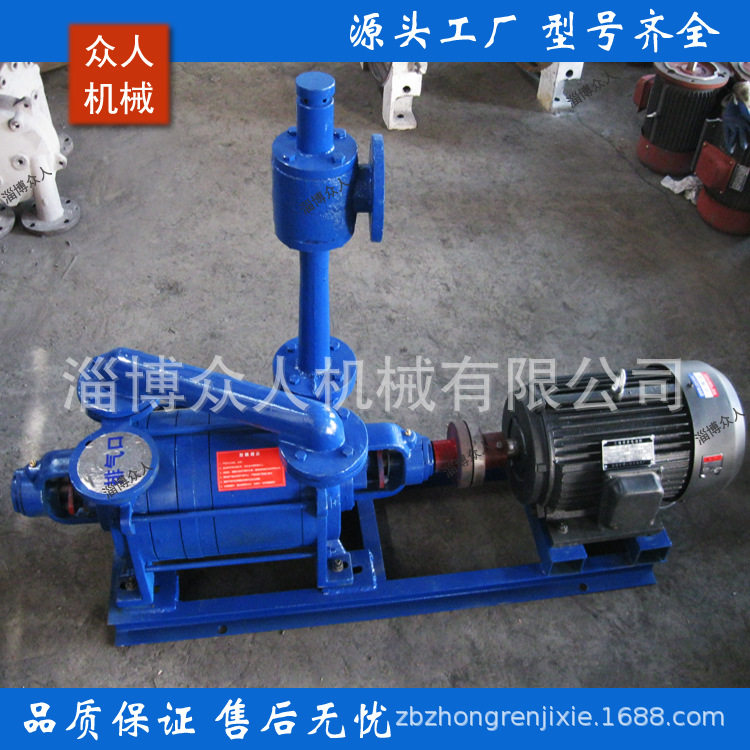 2SK-12两级水环真空泵大气喷射