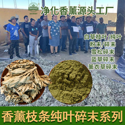 纯叶枝叶碎末白鼠尾草蓝鼠尾草雪松燃烧好净化空间大货批发基地