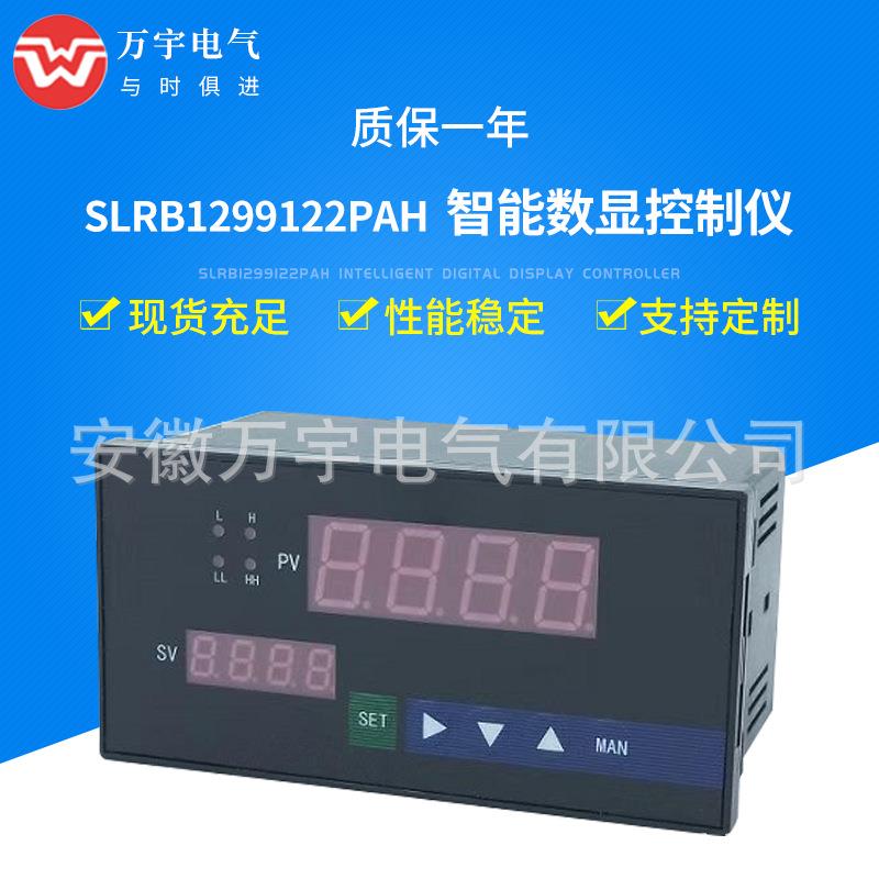 SLRB221717124PAH智能双回路控制仪规格型号齐全