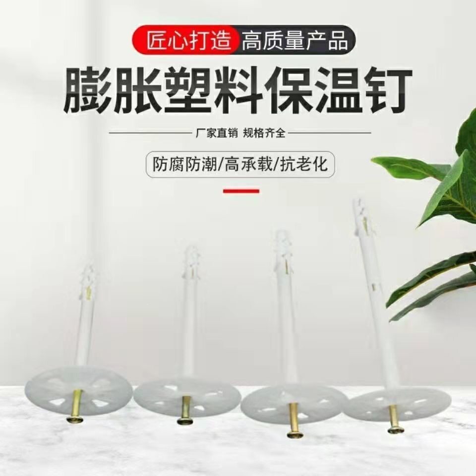 国标分体保温板外墙专用钉