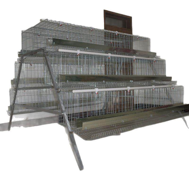 蛋鸡养殖笼养鸡场鸡笼子家用母鸡下蛋产蛋鸡笼自动滚蛋鸡笼子