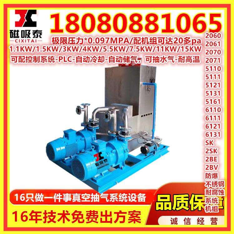 2BV5111水环真空泵铸铁气体传输泵真空泵系统自动水循环真空泵