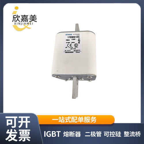 170M6145/170M6142快速熔断器